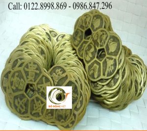 Đặt hoa mai kim tiền để giữ tiền tài,may mắn phong thủy
