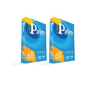 GIẤY A4 PALM 70 GSM
